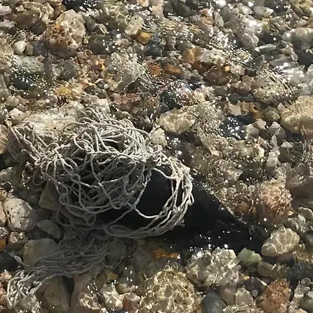 شقة Gente Di Mare نوفي فينودولسكي